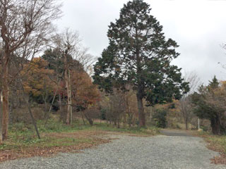 箱根芦之湯温泉隣接 湯の花高原別荘地
